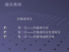 沙狐球項目