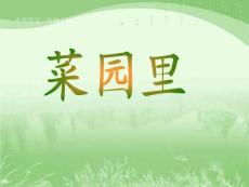 菜園里課件(新課本人教版一年級語文上冊課件)