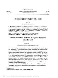 負折射率研究中的若干理論問題