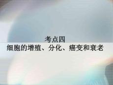 高三生物總復(fù)習(xí)---細(xì)胞的增殖