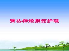 臂丛神经损伤护理课件