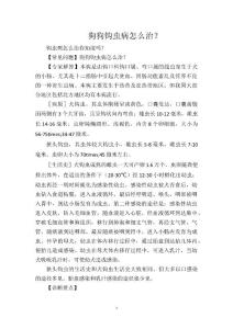 狗狗钩虫病怎么治？