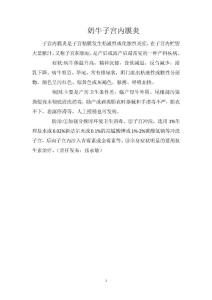 奶牛子宫内膜炎