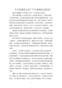 牛白血病怎么办？牛白血病怎么防治？