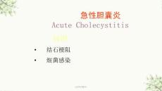 《急性胆囊炎》课件