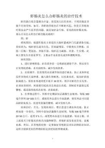 虾肠炎怎么办虾肠炎的治疗技术