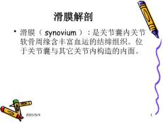 滑膜炎医学诊疗课件