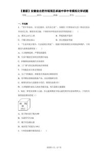 2021年安徽省合肥市瑤海區卓越中學中考模擬化學試題答案和解析