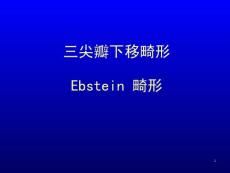 三尖瓣下移畸形优质课件