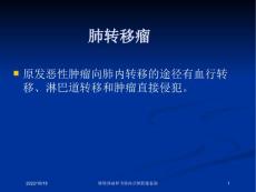 肺转移瘤和韦格肉芽肿影像鉴别培训课件
