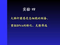 5_大腸桿菌感受態細胞的制備、