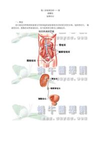 【精品】病例分析——尿路梗阻
