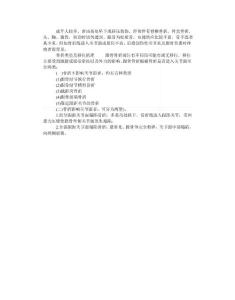 跟骨骨折分类