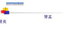 肾盂肾炎课件