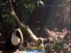 說課--自然之韻