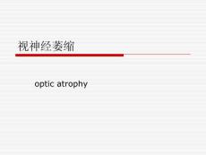 视神经萎缩.ppt