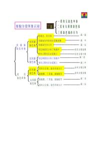 细胞分裂图像识别