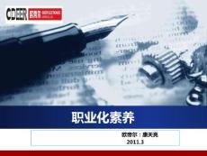 職業化素養