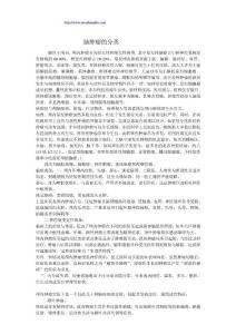 脑肿瘤的分类