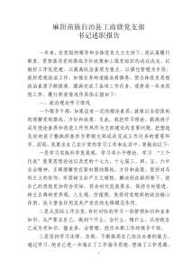 工商联党支部书记2012年述职报告