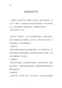虎刺梅怕冷吗