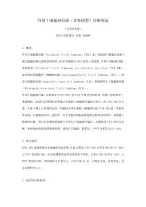 外周T细胞淋巴瘤诊疗基础规范