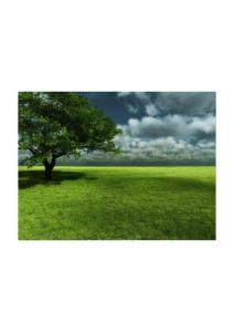 【極品護眼美圖】025