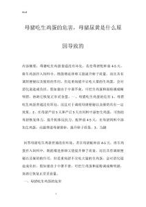 母猪吃生鸡蛋的危害，母猪尿黄是什么原因导致的
