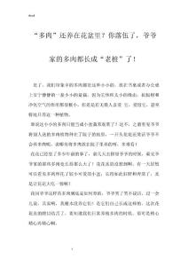 “多肉”还养在花盆里？你落伍了，爷爷家的多肉都长成“老桩”了！