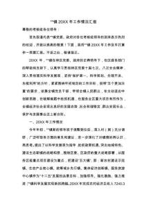 【最新文档】镇20XX年工作情况汇报