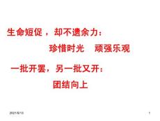 閱讀訓練5種一片太陽花