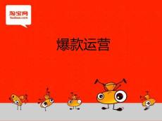 直通車爆款必學