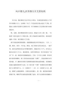 风中微尘,世界微尘里艾景初肉