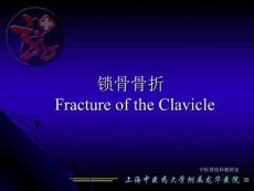 股骨颈骨折