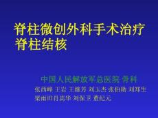 脊柱结核的局部化疗