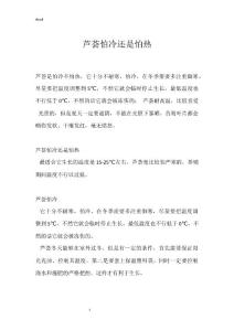 芦荟怕冷还是怕热