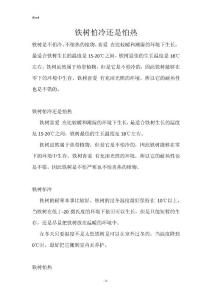 铁树怕冷还是怕热