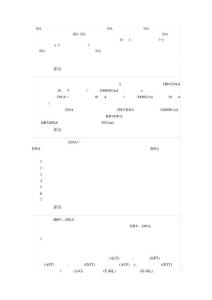 乙肝常识