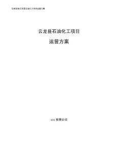 云龙县石油化工项目运营方案