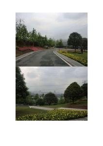 2012重慶園博園美景