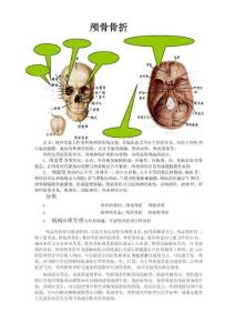颅骨骨折申倩伟