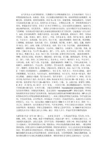 宝宝支气管炎