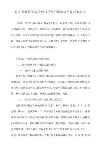 沈陽經(jīng)濟區(qū)知識產(chǎn)權(quán)執(zhí)法保護現(xiàn)狀分析及對策研究
