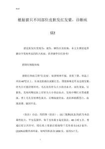 根据猪只不同部位皮肤发红发紫，诊断疾病!