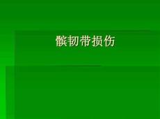 髌韧带损伤