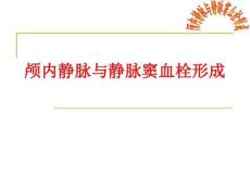 颅内静脉与静脉窦血栓形成PPT课件