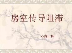 房室传导阻滞课件
