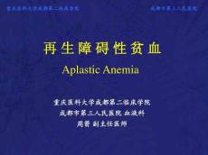 再生障碍性贫血教学