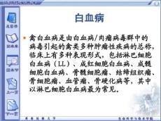 白血病15717