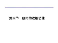 第二章肌肉的收缩功能